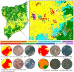 Mapping large-scale tree plantation expansion and land use change trajectories in Northern Mozambique
