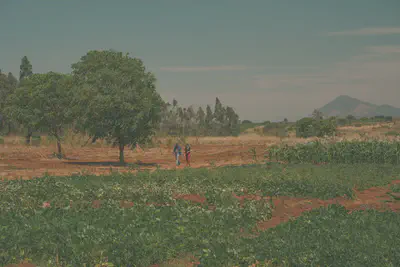 Farmer and Midland team member walking along vegetable plots in a medium-scale farm. Photo: Cristina Chiarella