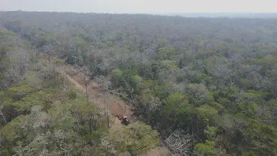 Dry forest is cleared in the Bolivian Chiquitanía - Copyright Conservation Biogeography Lab / HU Berlin 2022