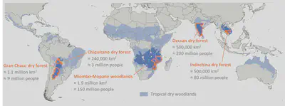 Global extent of tropical dry woodland and the five focus regions.