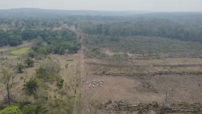 Land uses are diverse - and so are threats to biodiversity and opportunities for conservation - Copyright Conservation Biogeography Lab / HU Berlin 2022